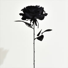 Load image into Gallery viewer, Gothic Black Fake Dried Rose Bouquet
