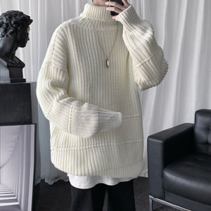 Solid Knit Turtleneck Sweater