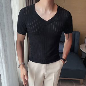 Thin Knit V-Neck Slim Top